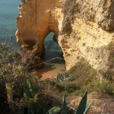 bat365手机app下载