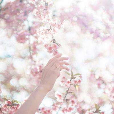 AG大厅网址截图